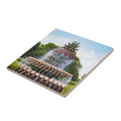 Pineapple Fountain in Charleston, Fliese (Seite)