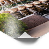 Pineapple Fountain in Charleston, Fotodruck (Ecke)