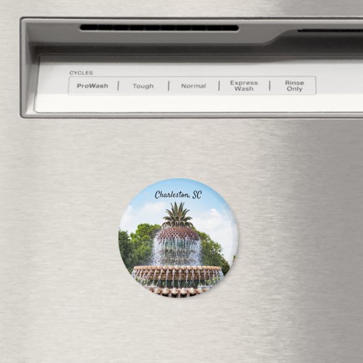 Pineapple Fountain in Charleston, Magnet (In Situ (Geschirrspüler))