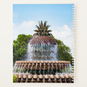 Pineapple Fountain in Charleston, SC Planer (Rückseite)