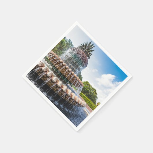 Pineapple Fountain in Charleston, Serviette (Ecke)