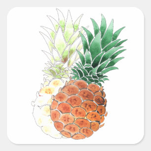 Pineapple, watercolor . quadratischer aufkleber