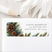 Pineca della Riforma (Insitu)