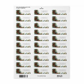 Pineca della Riforma (Vorne)