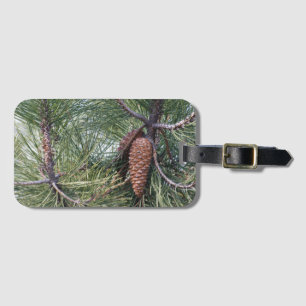 Pinecon auf dem Kiefer Gepäckanhänger