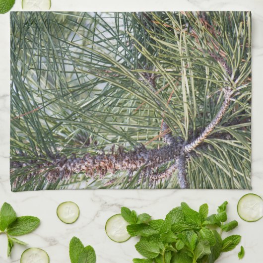 Pinecon auf dem Kiefer Geschirrtuch (Gefaltet)