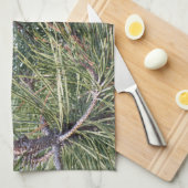 Pinecon auf dem Kiefer Geschirrtuch (Viertel Falte)