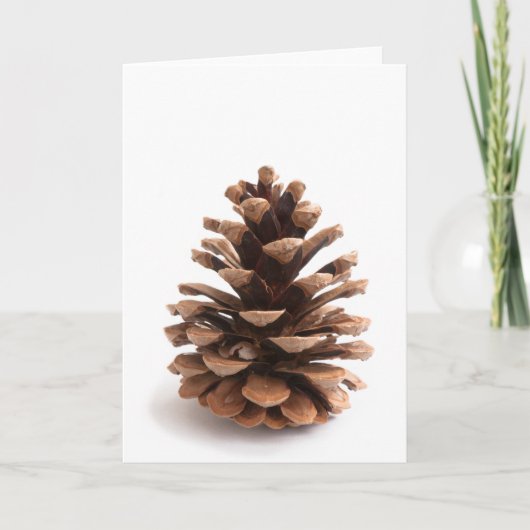 Pinecon Feiertagskarte (Vorderseite)
