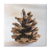 Pinecon Fliese (Vorderseite)