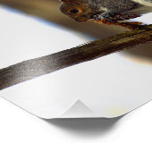 Pinecon Fotodruck (Ecke)