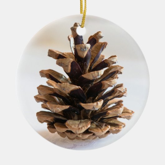 Pinecon Keramik Ornament (Vorne)