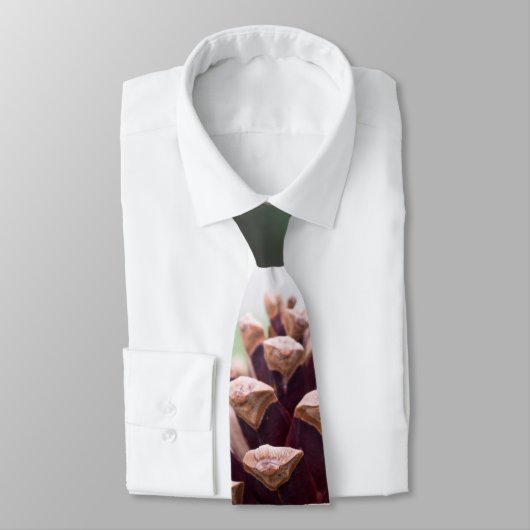 Pinecon Krawatte (Gebunden)