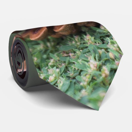 Pinecon Krawatte (Gerollt)