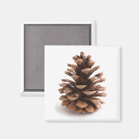Pinecon Magnet (Vorderseite/Rückseite)