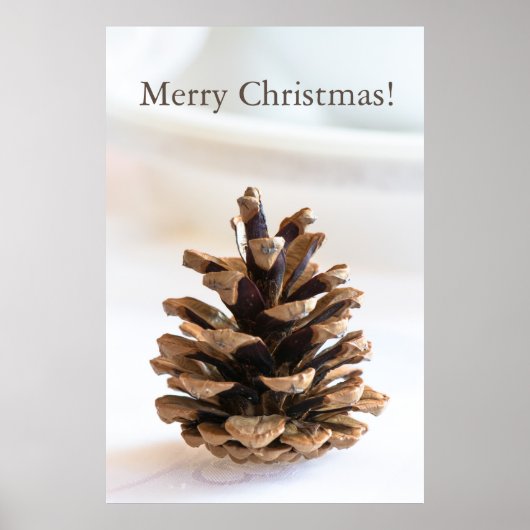 Pinecon Poster (Vorne)