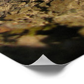 Pinecon Poster (Ecke)