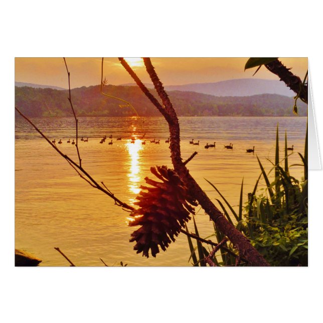 Pinecone (Vorderseite (Horizontal))