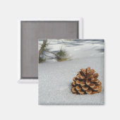 Pinecone auf dem Schneemagnet Magnet (Vorderseite/Rückseite)