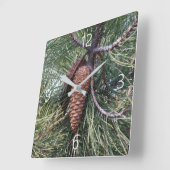 Pinecone auf der Kiefer Quadratische Wanduhr (Winkel)