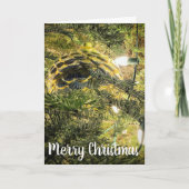 Pinecone Feiertagskarte (Vorderseite)