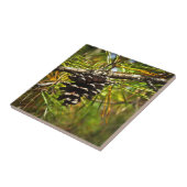 Pinecone Fliese (Seite)