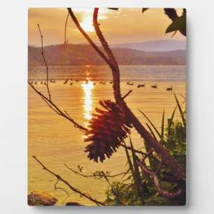 Pinecone Fotoplatte