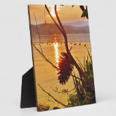 Pinecone Fotoplatte (Seite)