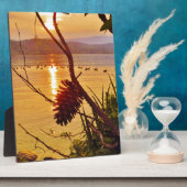 Pinecone Fotoplatte (Seite)