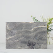 Pinecone im Wasser (Stehend Vorderseite)