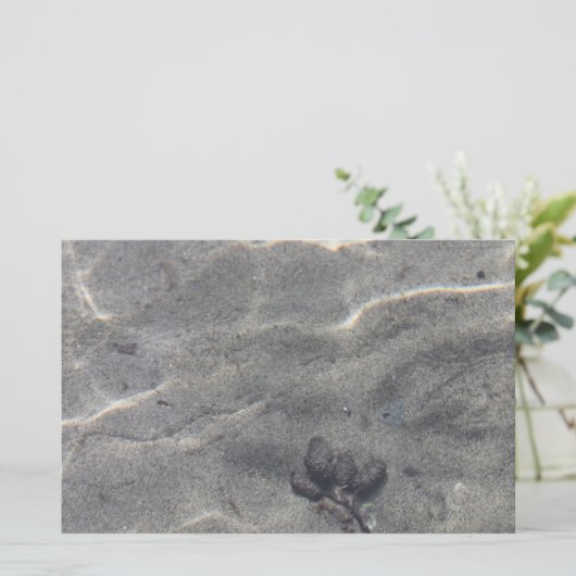 Pinecone im Wasser (Stehend Vorderseite)