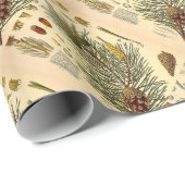 Pinecone Kiefern-Baum-Vintager botanischer Druck Geschenkpapier (Rolleneckpunkt)
