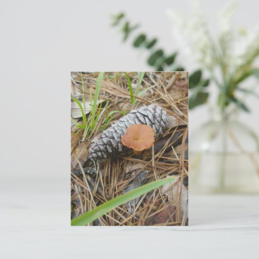 Pinecone OBX Postkarte (Stehend Vorderseite)