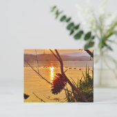 Pinecone Postkarte (Stehend Vorderseite)