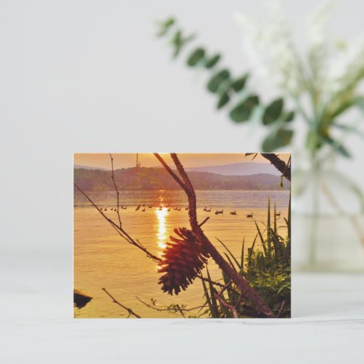 Pinecone Postkarte (Stehend Vorderseite)