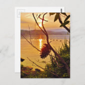 Pinecone Postkarte (Vorne/Hinten)