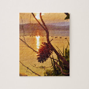 Pinecone Puzzle