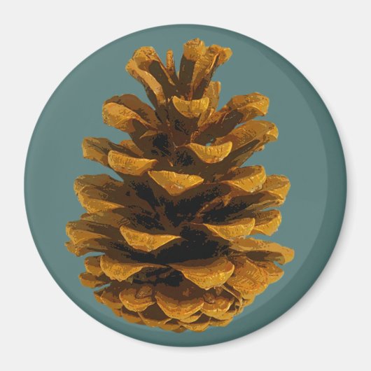 Pinecone rustica magnet (Vorne)