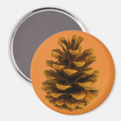 Pinecone rustikale Natur Braunorange Fall Magnet (Vorderseite/Rückseite)
