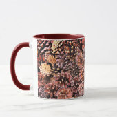 Pinecone rustikaler Fall bunt Winter braun Tasse (Links)