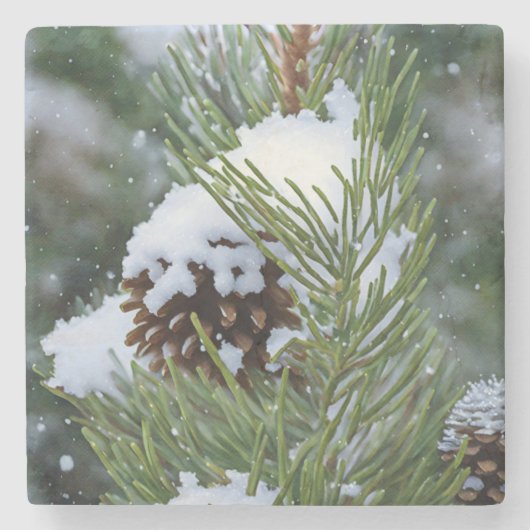 Pinecone Snow on Pine Tree Weihnachten Steinuntersetzer (Vorderseite)