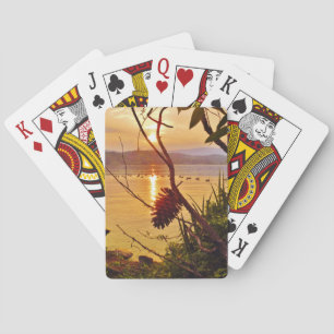 Pinecone Spielkarten