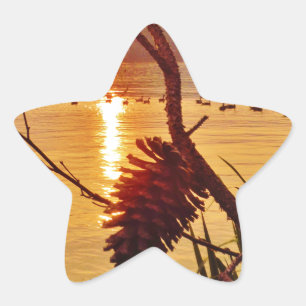 Pinecone Stern-Aufkleber