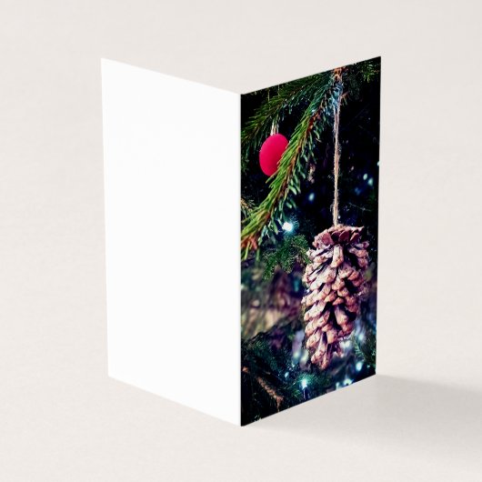 Pinecone und Rote Baube (Vorderseite)