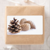 Pinecones (Insitu)