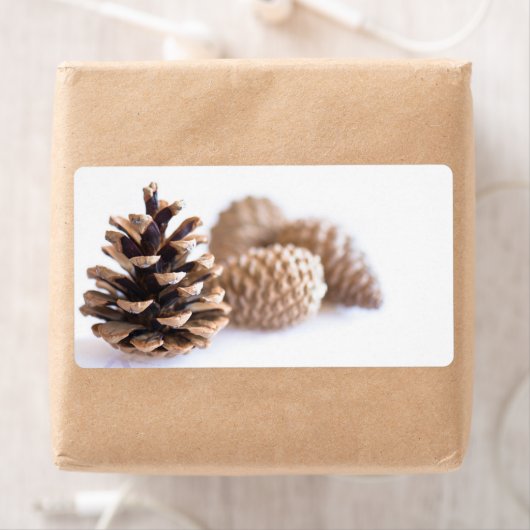 Pinecones (Insitu)