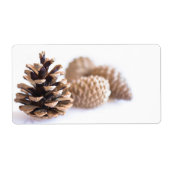 Pinecones (Vorne)