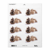 Pinecones (Vorne)