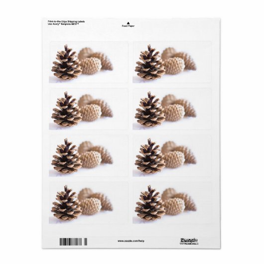 Pinecones (Vorne)