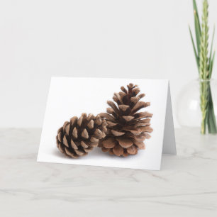 Pinecones Feiertagskarte
