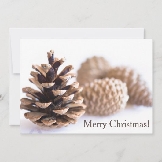 Pinecones Feiertagskarte (Vorderseite)